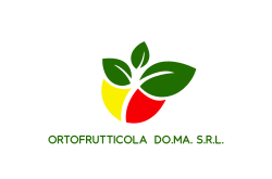 ORTOFRUTTICOLA  DO.MA. S.R.L.