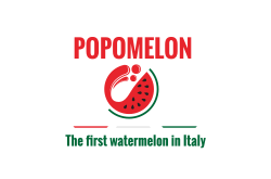 POPOMELON