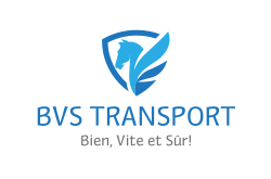 BVS TRANSPORT