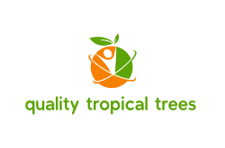 quality tropical trees
