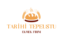 TARİHİ TEPEUSTU